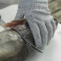 Smith's 51266 RegalRiver Non-Cut Fillet Gloves - 51266 - Fishing Accessories & Gear -RG Sport Shop 24f79431983aa83f385e6247834dc9ebe25c2ea5 51266 3