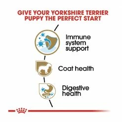 Royal Canin Breed Health Nutrition Yorkshire Terrier Puppy Dry Dog Food, 2.5 lb. Bag - Water Bottles & Hydration -RG Sport Shop 4b249649318197ccbee6f81f25b1d6f25b9a7851 55682016 3