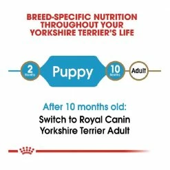 Royal Canin Breed Health Nutrition Yorkshire Terrier Puppy Dry Dog Food, 2.5 lb. Bag - Water Bottles & Hydration -RG Sport Shop 9a75737cd44f7e2965bd4f58682637a0e1cbc87f 55682016 4
