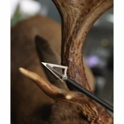 G5 Montec SS 125-Grain Fixed Crossbow Broadhead, 3 Pack - 612 - Archery Accessories -RG Sport Shop b739b775e3e811e899e019331310a78344879ded 8087111 3